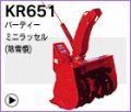 �С��ǥ����ߥ˥�å���(����)KR651B